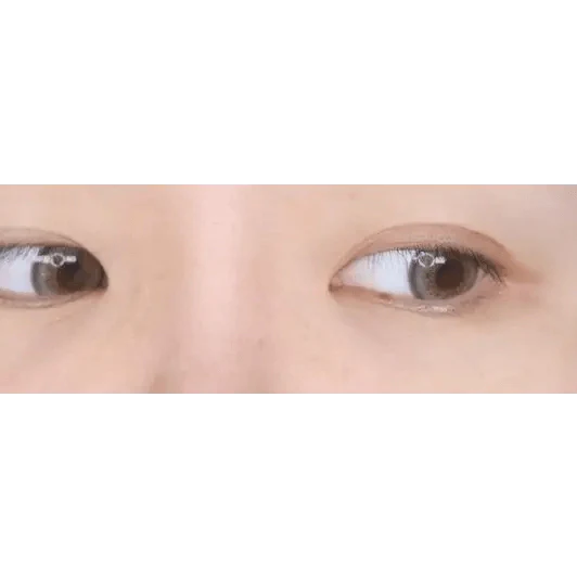 LensRang Spell Gray — single-eye close-up showing the contact lens appearance
