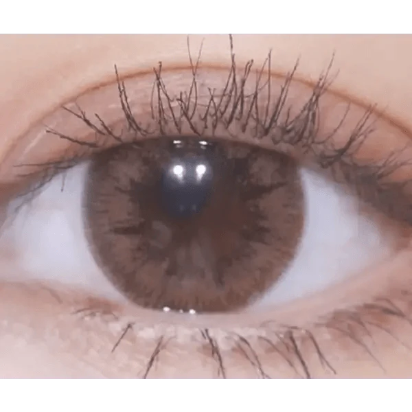 LensRang With Rang Choco — single-eye close-up showing the contact lens appearance