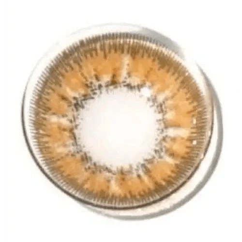 LensRang With Rang Hazel Brown colored contact lens, 13.6mm graphic diameter, Monthly wear