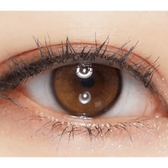 i-DOL Yurial Royal Brown — single-eye close-up showing the contact lens appearance