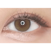 i-DOL Yurial Royal Brown — single-eye close-up showing the contact lens appearance