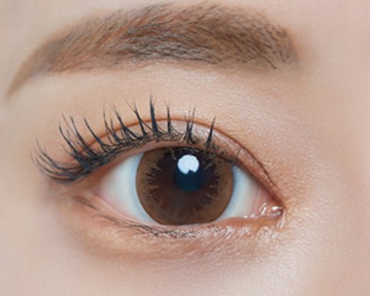 Bausch + Lomb Lacelle Crystal Brown (6p) colored contact lens, 12.7mm graphic diameter, Monthly wear