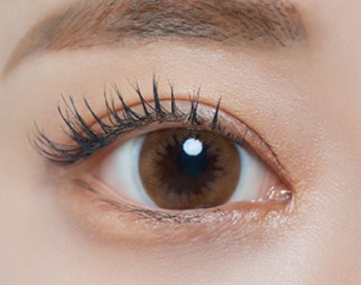 Bausch + Lomb Lacelle Mellow Brown (6p) colored contact lens, 12.7mm graphic diameter, Monthly wear
