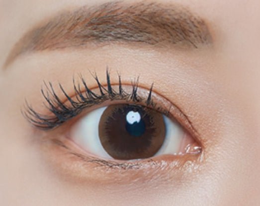 Bausch + Lomb Lacelle Twinkle Brown (6p) colored contact lens, 12.7mm graphic diameter, Monthly wear