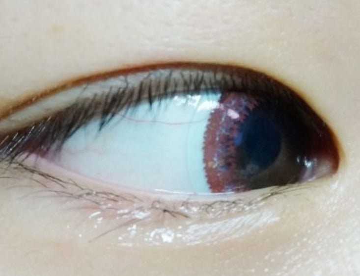 Bausch & Lomb Naturalle Chic Brown (90p) colored contact lens, 12.8mm graphic diameter, Daily wear
