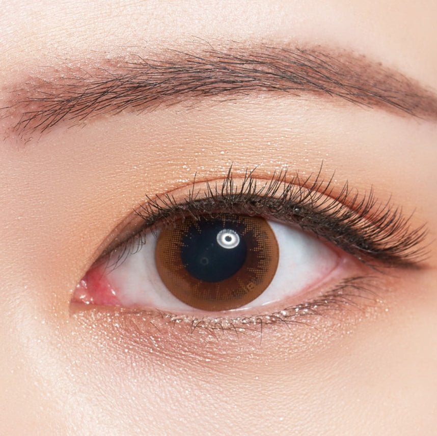 Bausch + Lomb Lacelle Crystal Brown (30p) colored contact lens, 12.7mm graphic diameter, Daily wear