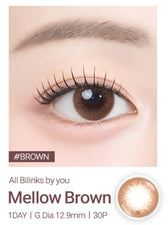 Bausch + Lomb Lacelle Mellow Brown (30p) colored contact lens, 12.9mm graphic diameter, Daily wear