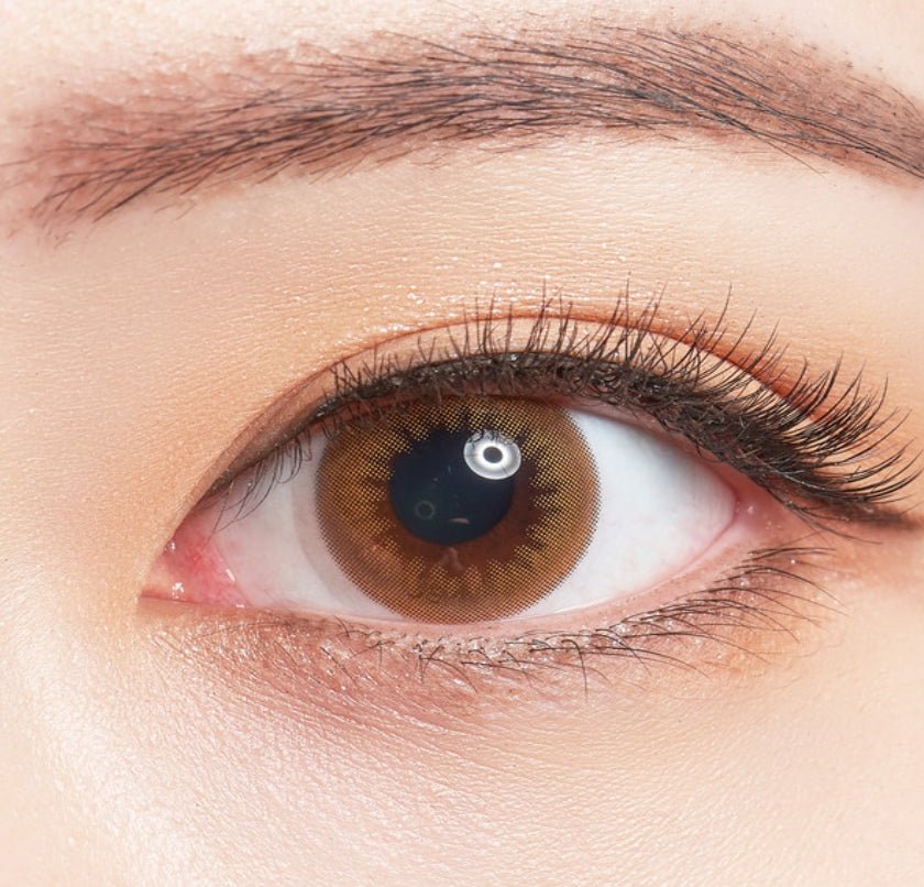 Bausch + Lomb Lacelle Mellow Brown (30p) colored contact lens, 12.9mm graphic diameter, Daily wear