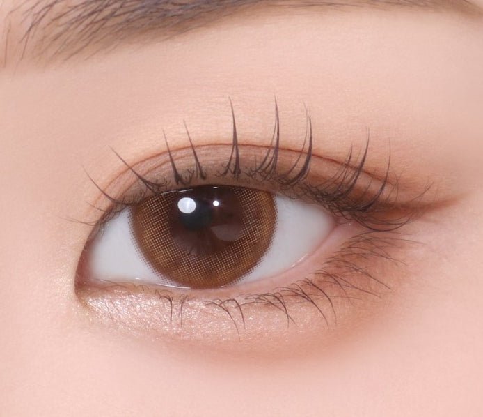 Bausch + Lomb Lacelle Merry Mocha Choco (30p) colored contact lens, 12.9mm graphic diameter, Daily wear