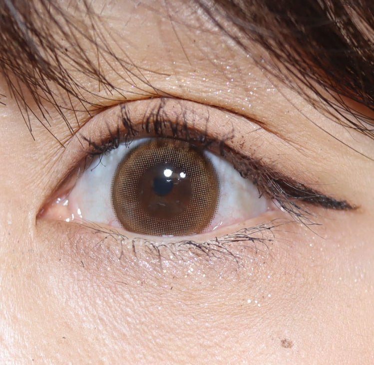 Bausch + Lomb Lacelle Merry Mocha Choco (30p) colored contact lens, 12.9mm graphic diameter, Daily wear
