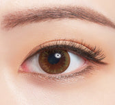 Bausch + Lomb Lacelle Shimmering Gold Brown (30p) colored contact lens, 12.9mm graphic diameter, Daily wear