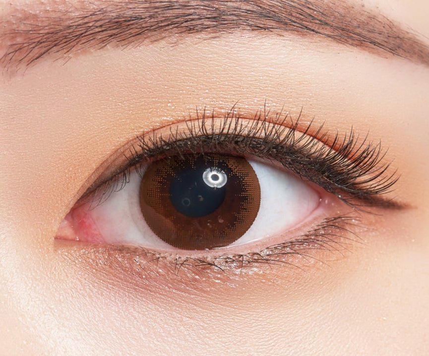 Bausch + Lomb Lacelle Twinkle Brown (30p) colored contact lens, 12.7mm graphic diameter, Daily wear