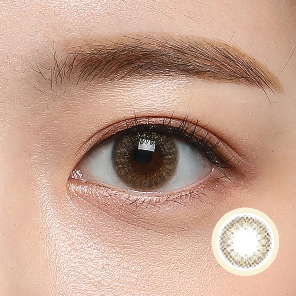 Clalen Astra Estelle Brown (30p)