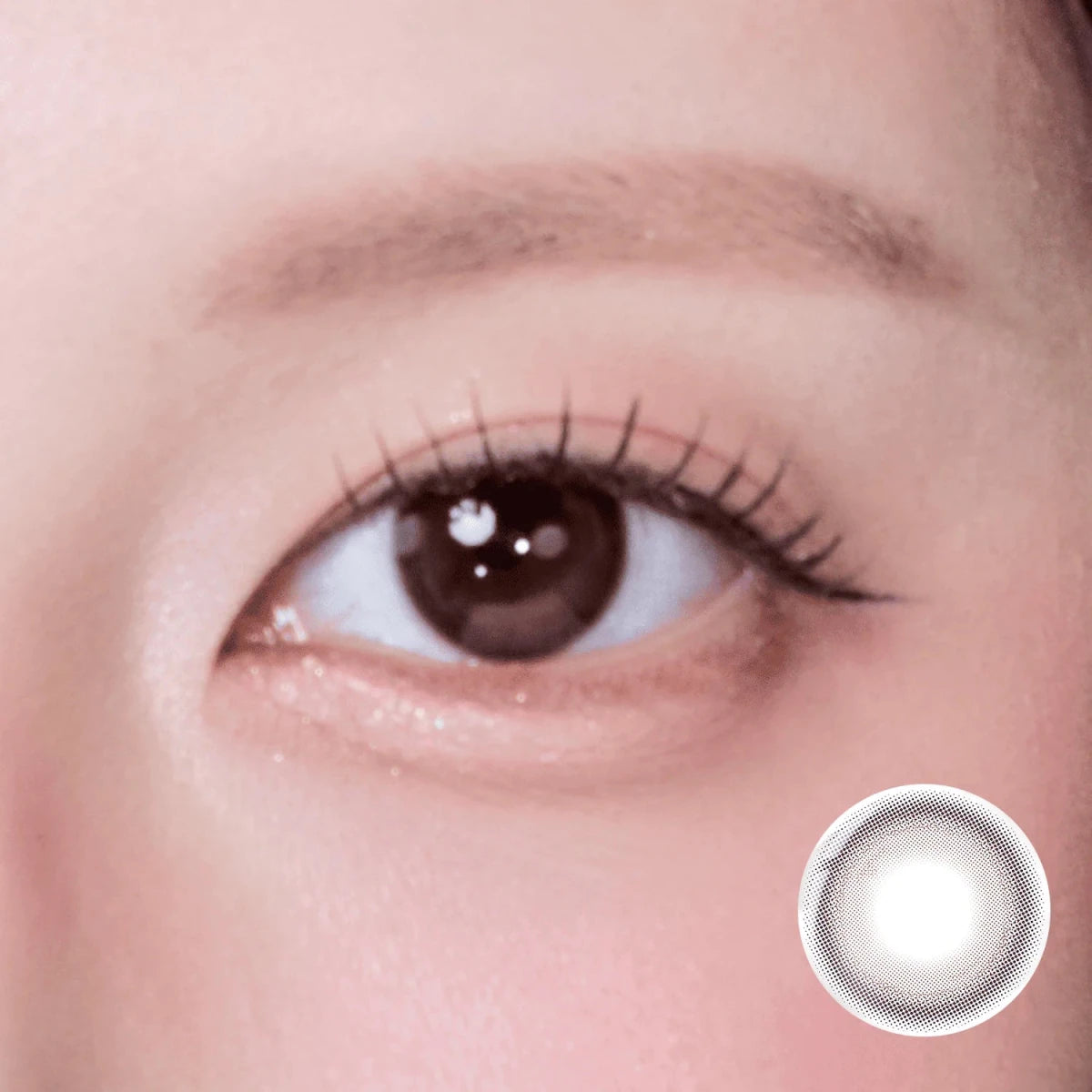 Clalen Pure Choco Daily 13.2mm (10p)