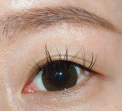 Claren Latin Brown (40p)