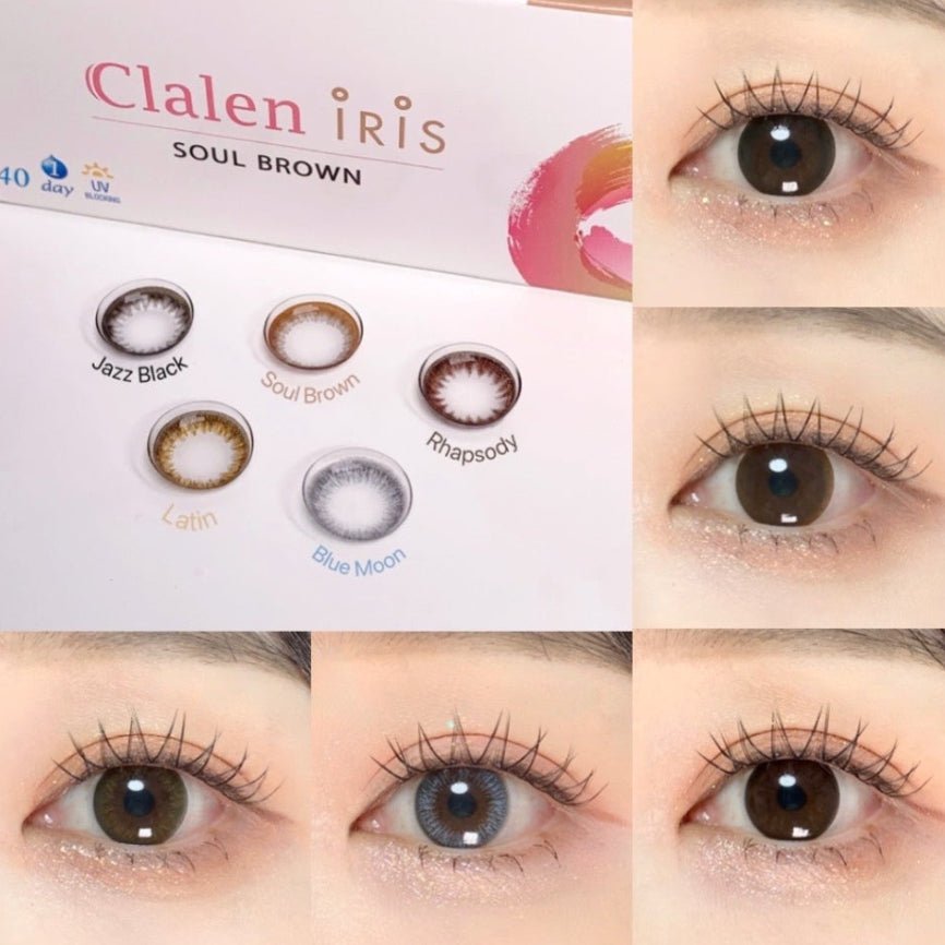 Claren Rhapsody Brown (40p)