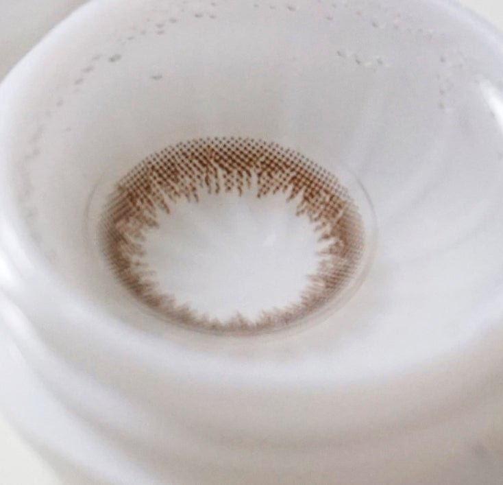 Claren Shear Brown 2week (6p)