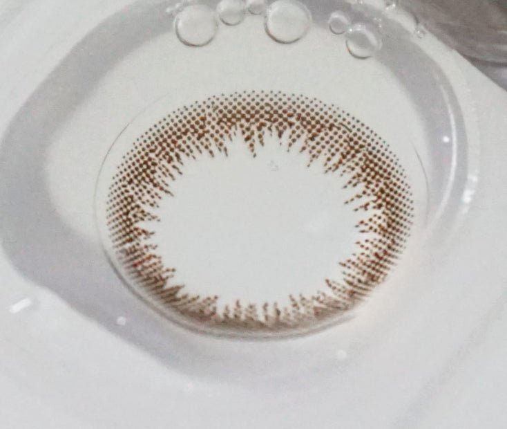 Claren Shear Brown 2week (6p)