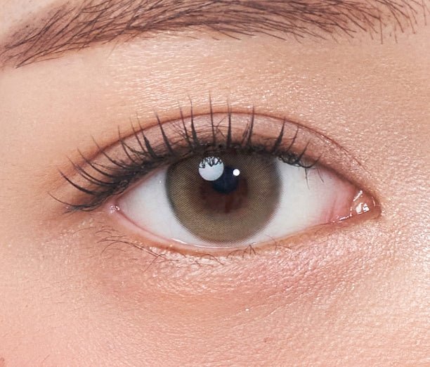 Cocoview Arti Olive Brown (10p) colored contact lens, 13.2mm graphic diameter, Daily wear