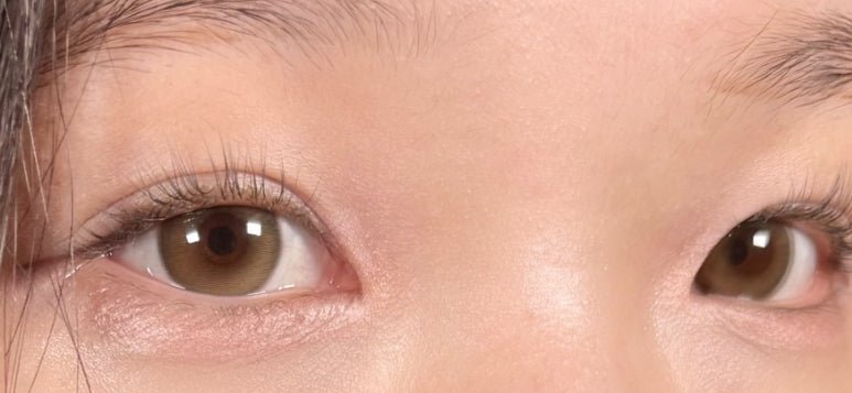 Cocoview Arti Olive Brown (10p) colored contact lens, 13.2mm graphic diameter, Daily wear