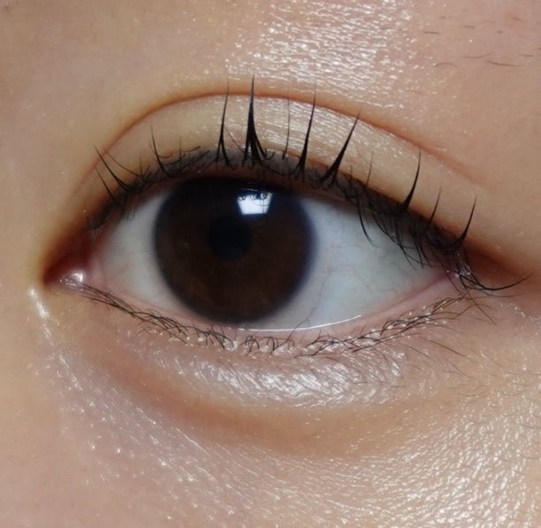 Cocoview Black Edge (10p)