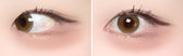 Cocoview Dazzling Brown