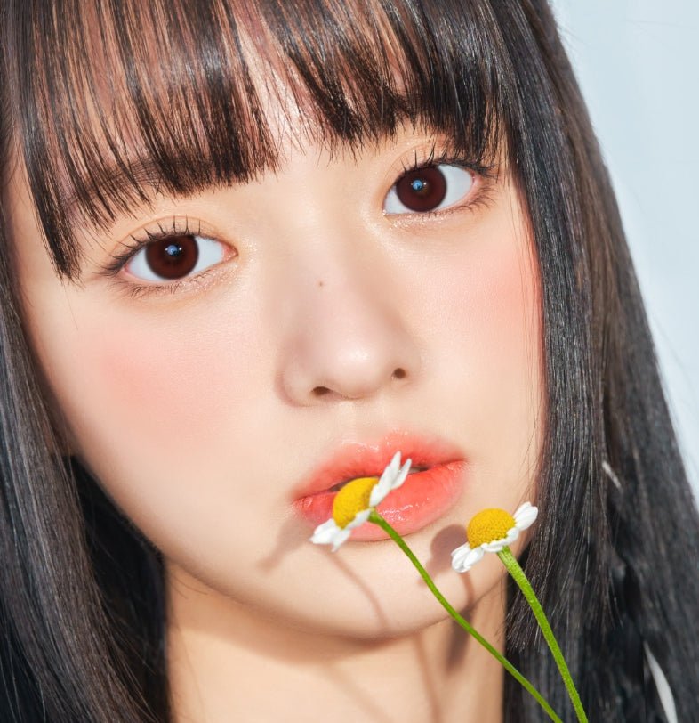 Cocoview Dazzling Choco