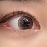 Cocoview Dazzling Choco