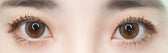 Cocoview Windy Brown (10p) colored contact lens, 13.3mm graphic diameter, Daily wear