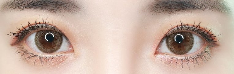 Cocoview Windy Brown (10p) colored contact lens, 13.3mm graphic diameter, Daily wear