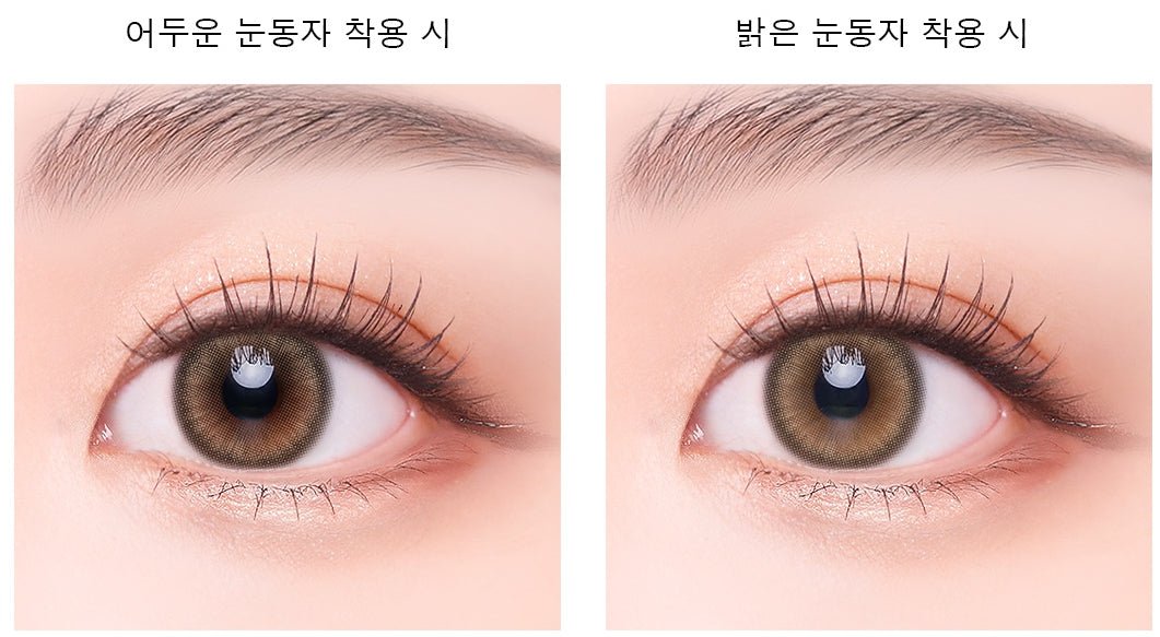 Cocoview Windy Brown 1Day (10p)