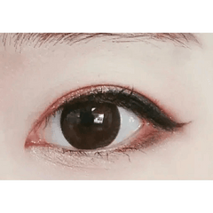 Dali Extra Brown Toric