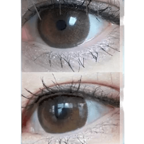 Dali Extra Brown Toric