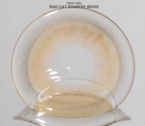 I-DOL Bad Cat Siamese Beige — image 2