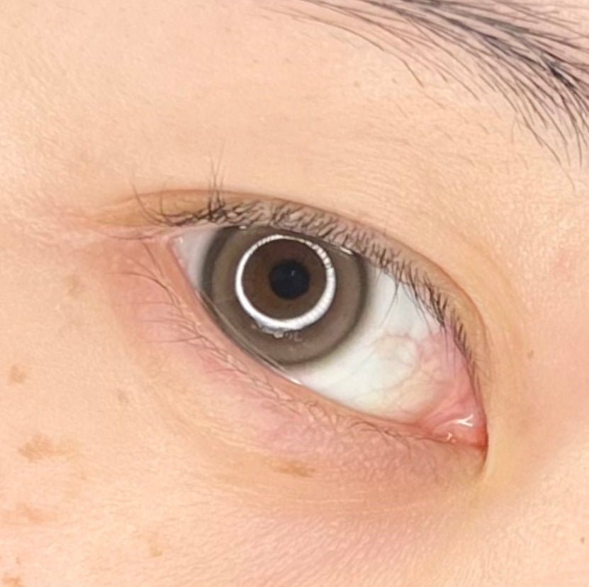 I-DOL Eyeis Ash Brown 1 Day (10p) — image 4