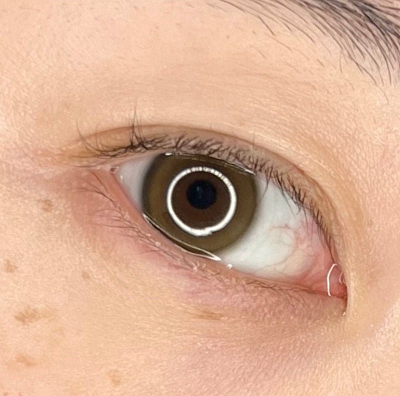 I-DOL Eyeis Melo Brown 1 Day (10p) — image 3