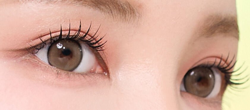 I-SHA Dekame Hug Me Taupe Choco (10p) colored contact lens, 13.9mm graphic diameter, Daily wear