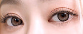 I-SHA Dekame Look At Me Brown colored contact lens, 13.6mm graphic diameter, Monthly wear