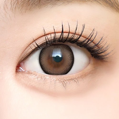 I-SHA Dekame Look At Me Brown colored contact lens, 13.6mm graphic diameter, Monthly wear