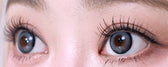 I-SHA Dekame Look At Me Gray colored contact lens, 13.6mm graphic diameter, Monthly wear