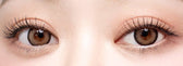 I-SHA Dekame Look At Me Sand Choco colored contact lens, 13.6mm graphic diameter, Monthly wear