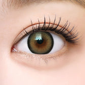 I-SHA Dekame Love Me Cashewnut Brown (10p) colored contact lens, 13.6mm graphic diameter, Daily wear