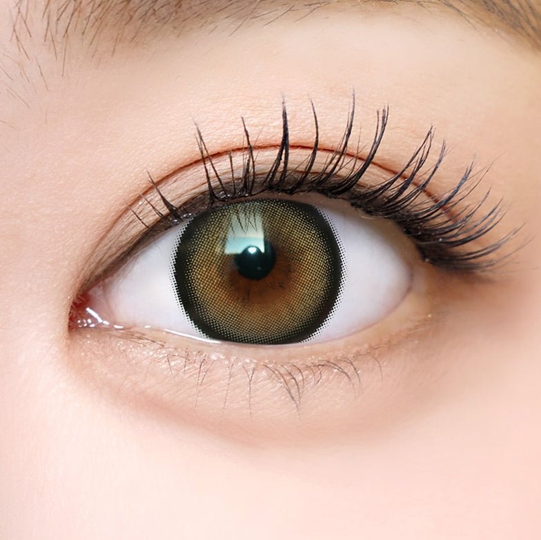 I-SHA Dekame Love Me Cashewnut Brown (10p) colored contact lens, 13.6mm graphic diameter, Daily wear