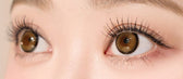 I-SHA Dekame Love Me Cashewnut Brown (10p) colored contact lens, 13.6mm graphic diameter, Daily wear