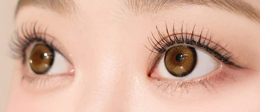 I-SHA Dekame Love Me Cashewnut Brown (10p) colored contact lens, 13.6mm graphic diameter, Daily wear