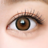 I-SHA Dekame Love Me Toffeenut Choco (10p) colored contact lens, 13.6mm graphic diameter, Daily wear
