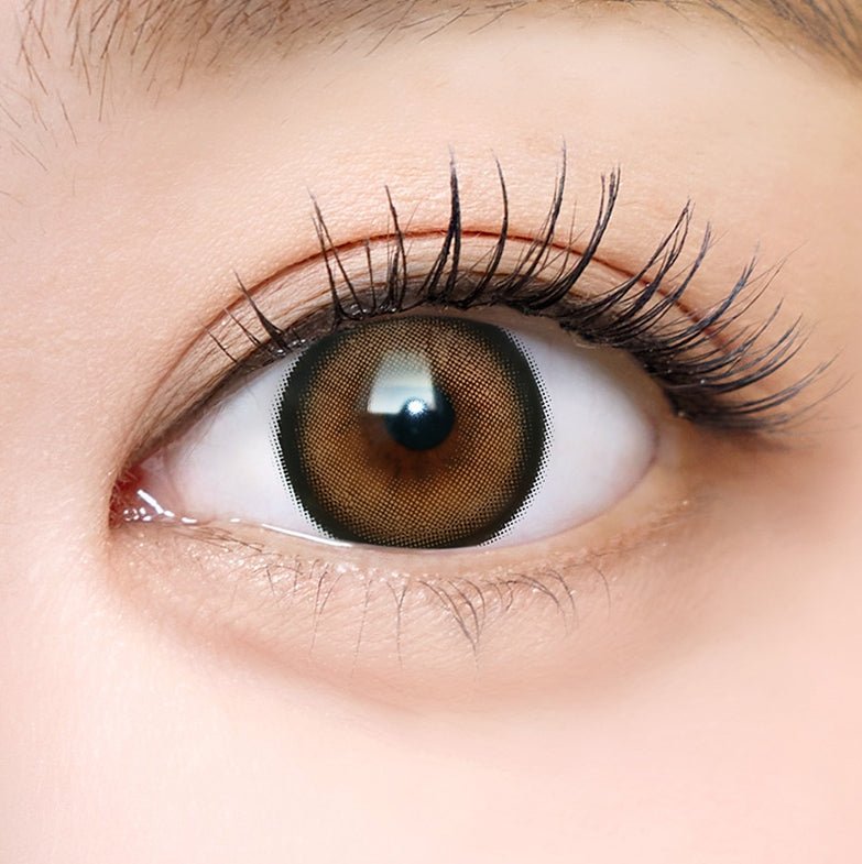 I-SHA Dekame Love Me Toffeenut Choco (10p) colored contact lens, 13.6mm graphic diameter, Daily wear