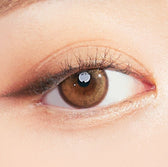 I-SHA Molton Amber Brown (10p) colored contact lens, 13.1mm graphic diameter, Daily wear