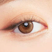 I-SHA Molton Amber Brown colored contact lens, 13.1mm graphic diameter, Monthly wear