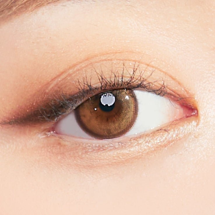 I-SHA Molton Amber Brown colored contact lens, 13.1mm graphic diameter, Monthly wear